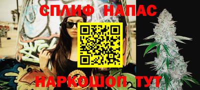 Альфа ПВП Рузаевка