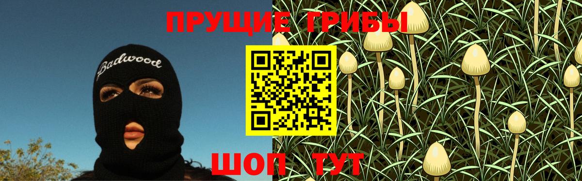 Галлюциногенные грибы Psilocybine cubensis Александров