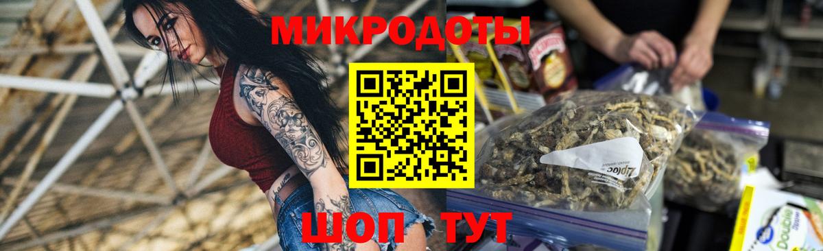 Александров  Псилоцибиновые грибы прущие грибы  Вход с VPN 